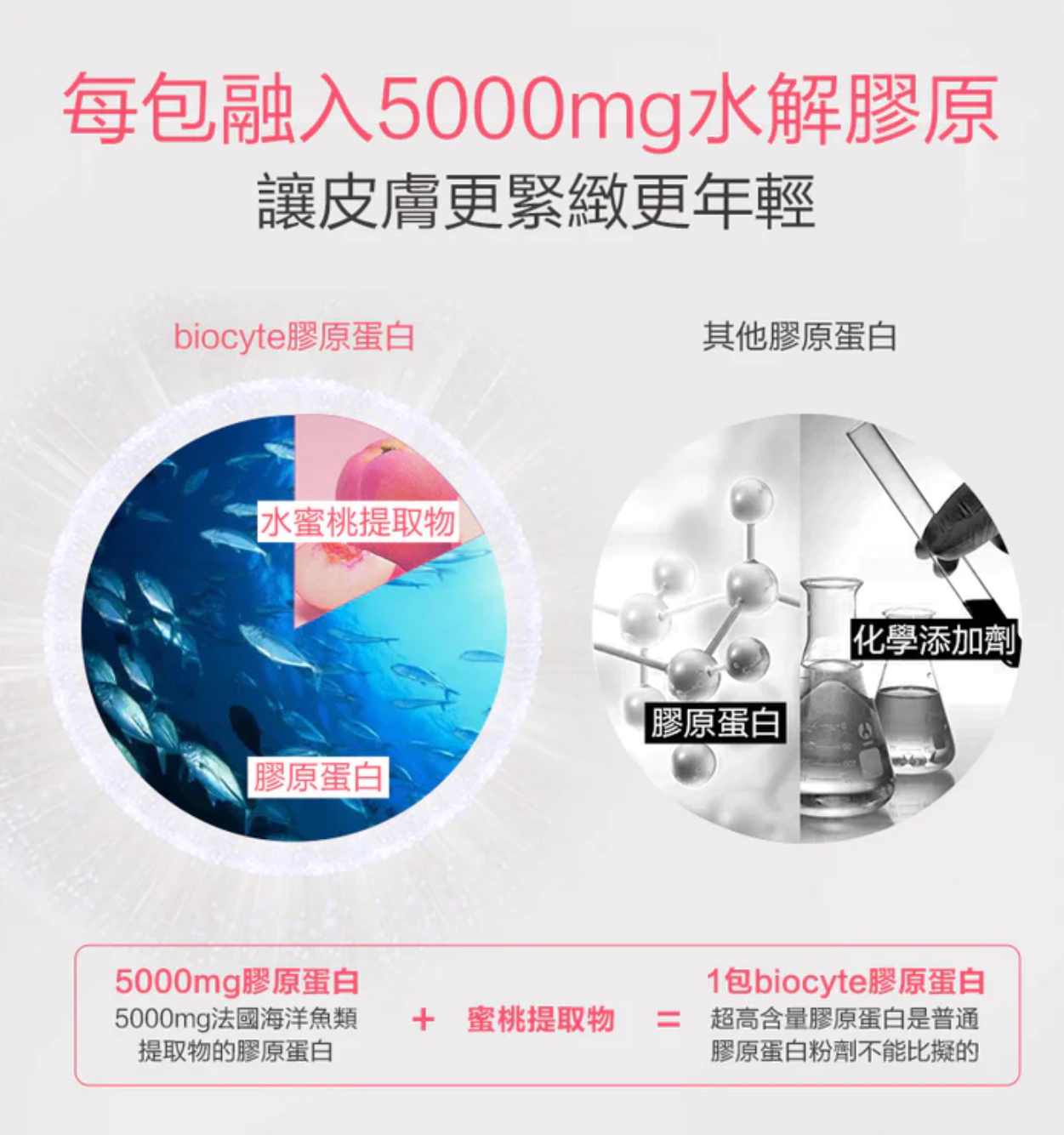 BIOCYTE COLLAGEN 貝茜 膠原蛋白粉 每包融入5000mg水解膠原