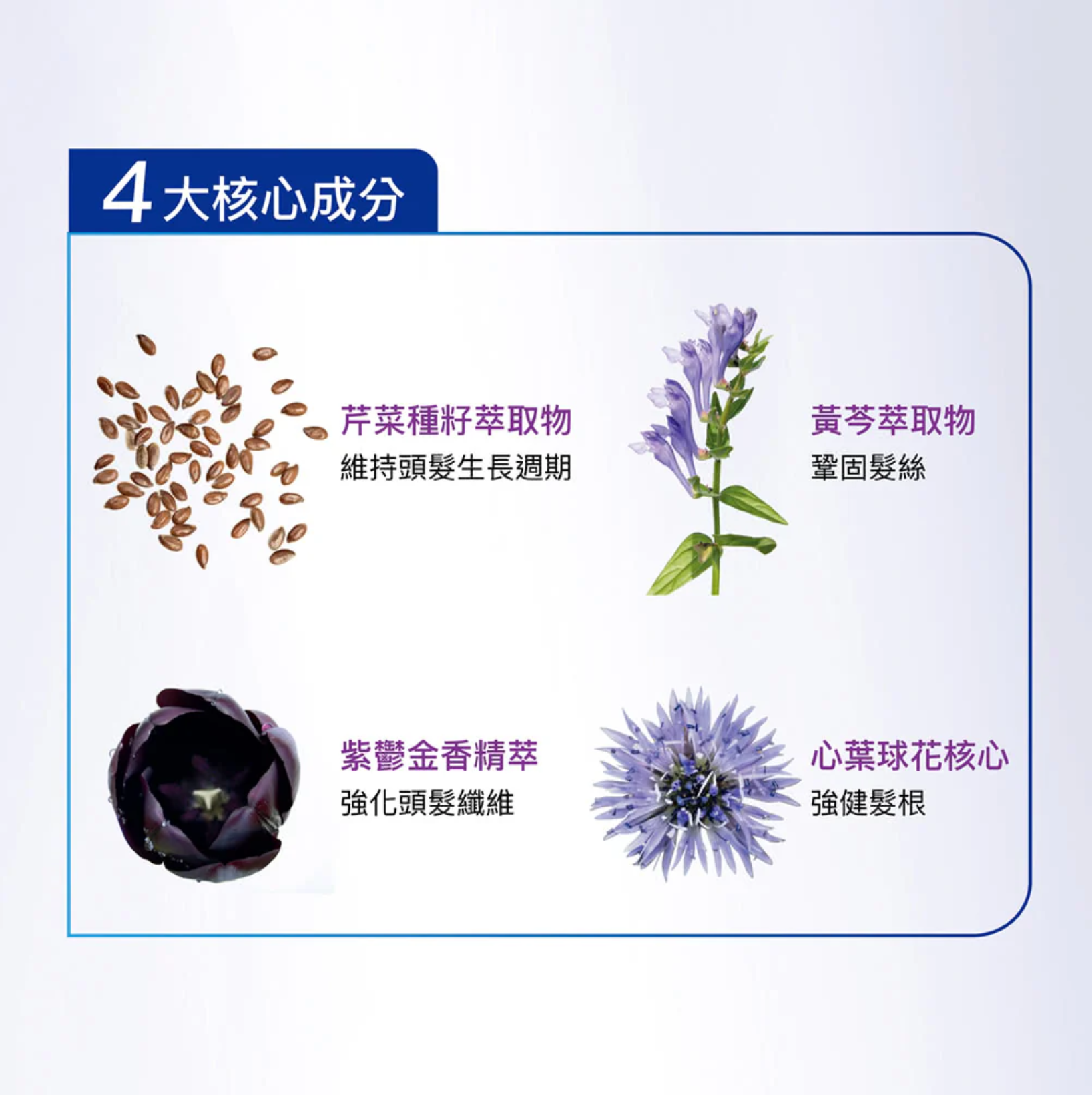PHYTO NOVATHRIX TRAITEMENT 全效防脫濃髮精華