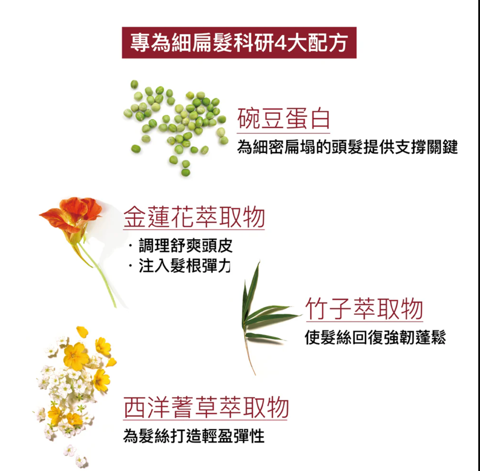 Phyto volume Shampoo nov 豐盈彈性洗髮露