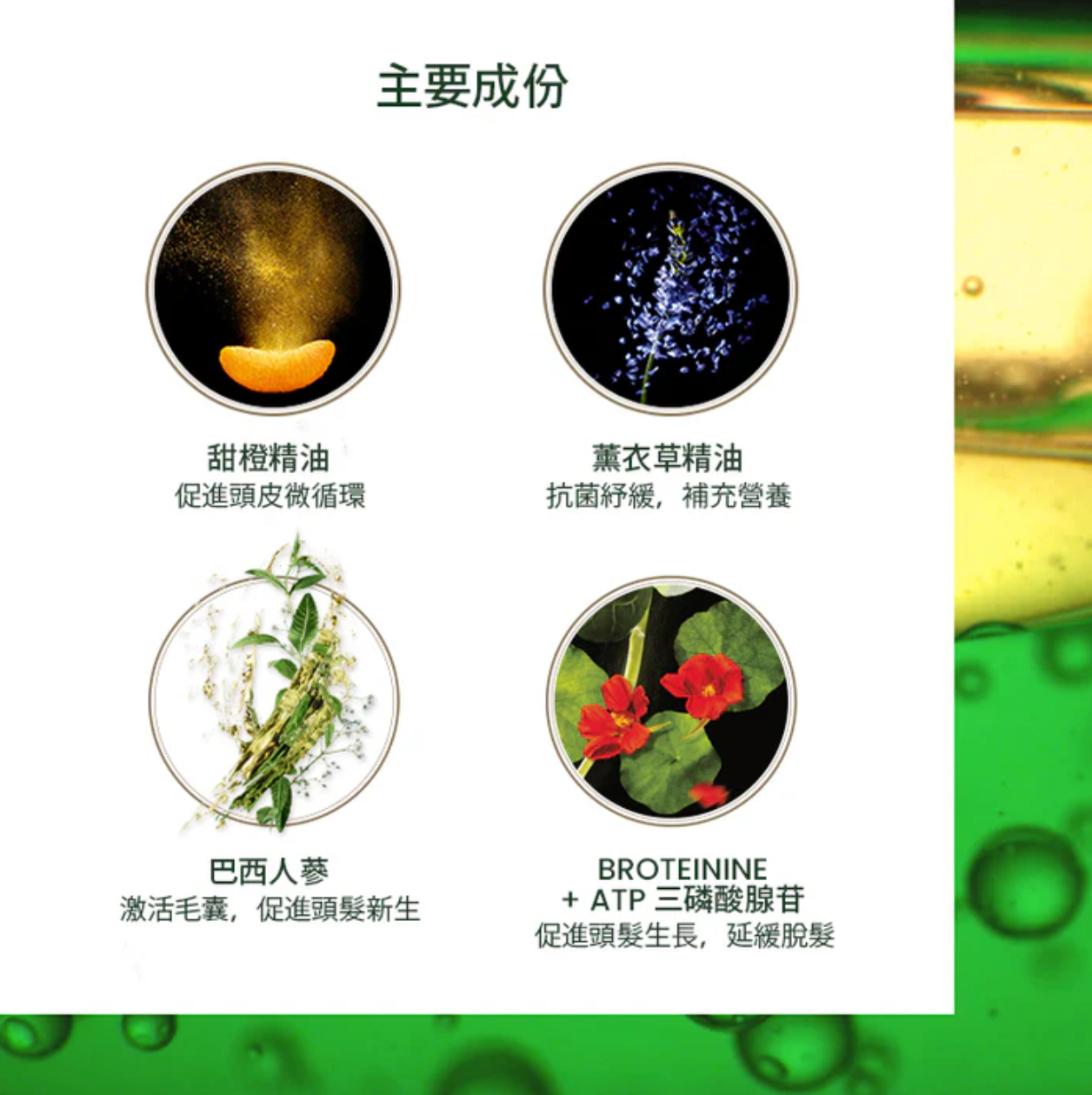 Rene Furterer Triphasic Progressive Serum 防脫髮再生精華素 成分圖