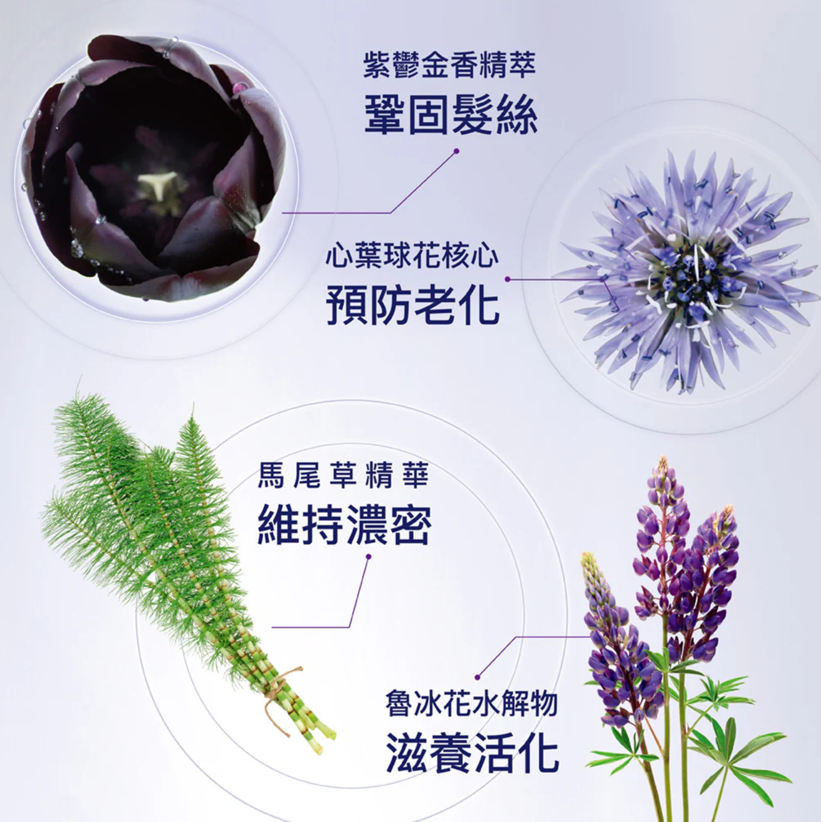 PHYTO NOVATHRIX LOTION 全效強韌髮絲精華水 適合任何類型脫髮 減少甩髮/脫髮