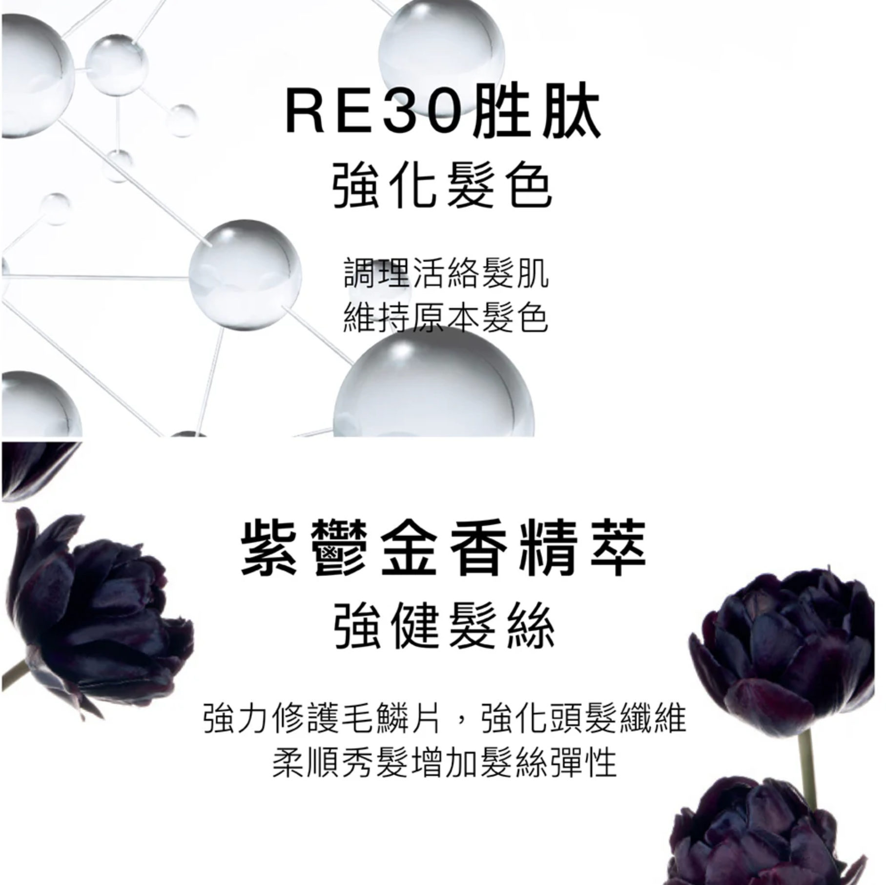 PHYTO RE30 激活黑髮精華 回復髮色技術 50ml (無盒)