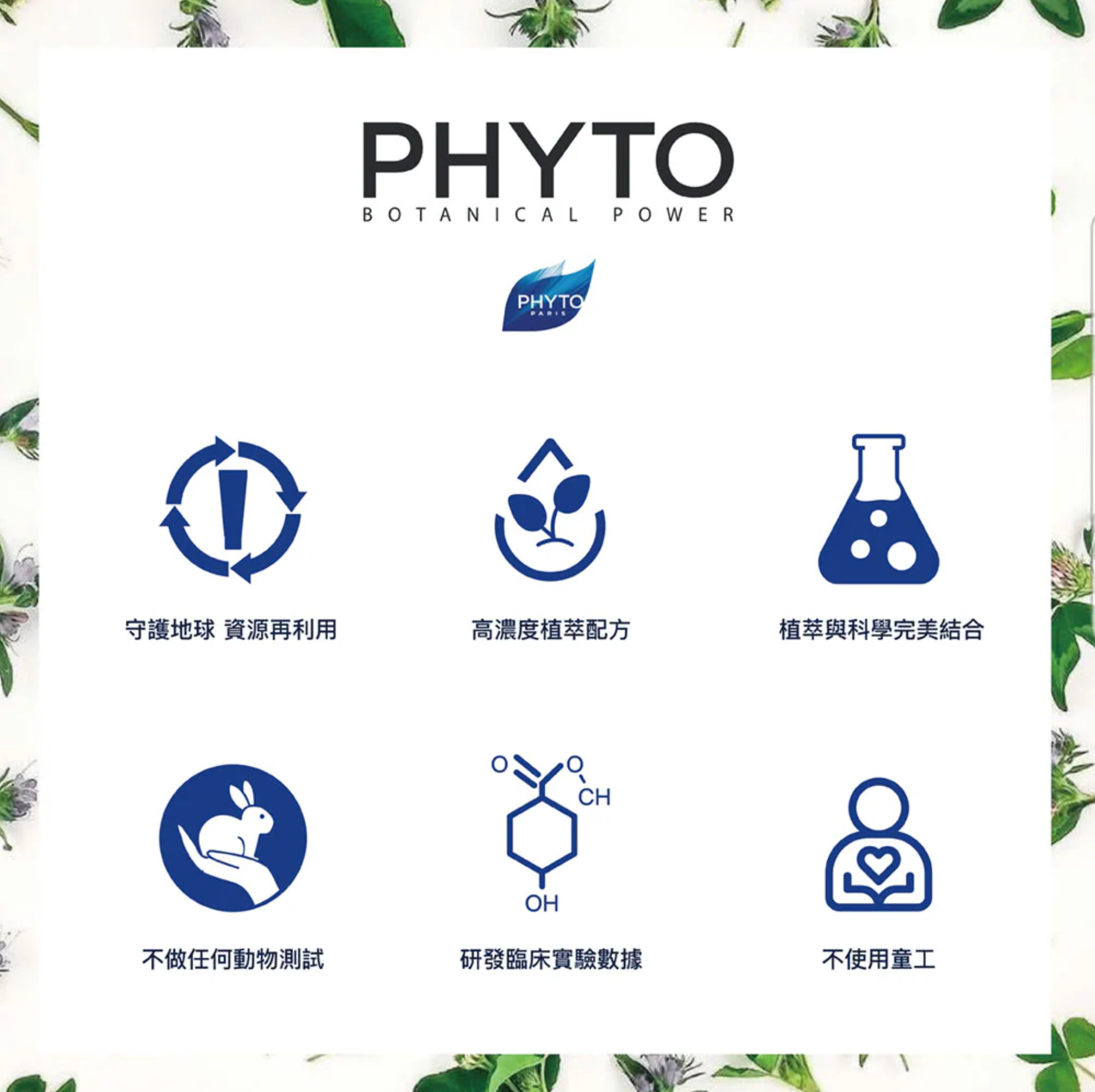 Phyto Phytocyane 防脫濃髮套裝 洗頭水+精華+生髮丸